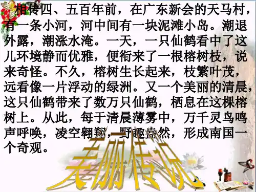 (精选)四年级语文上册 第1单元 3.鸟的天堂课件 新人教版