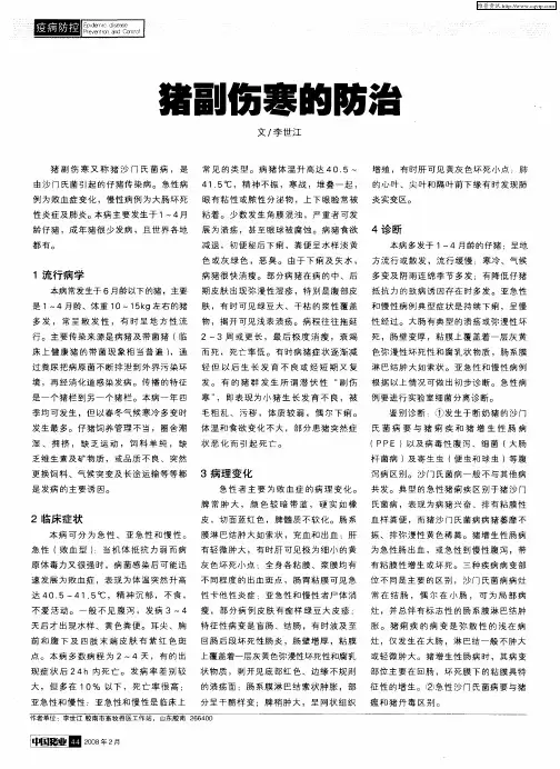 猪副伤寒的防治