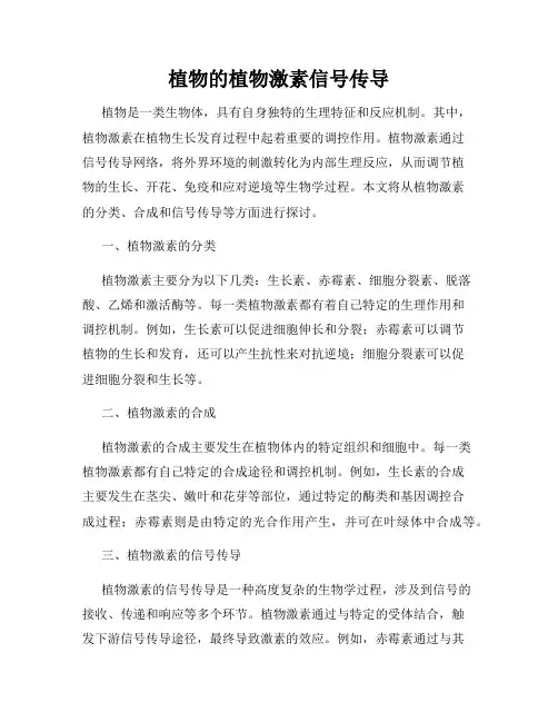植物的植物激素信号传导