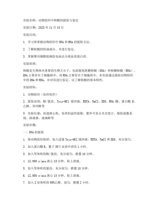 生化实验核酸实验报告