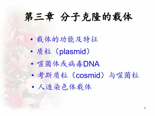 第三章 分子克隆的载体 ppt课件