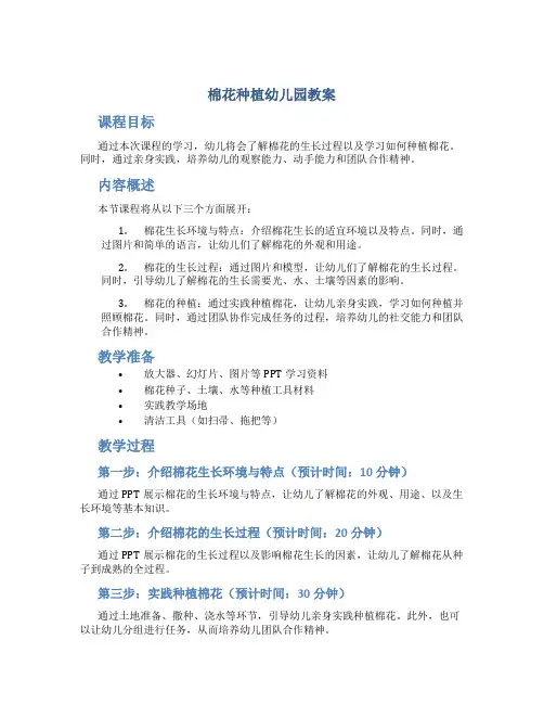 棉花种植幼儿园教案