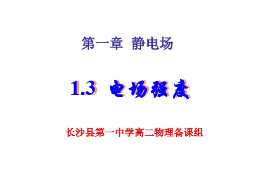 第3节电场及其描述