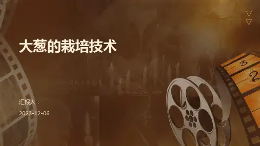 大葱的栽培技术