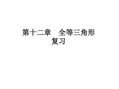 人教版八年级数学上册 第十二章 全等三角形复习  课件(共23张PPT)
