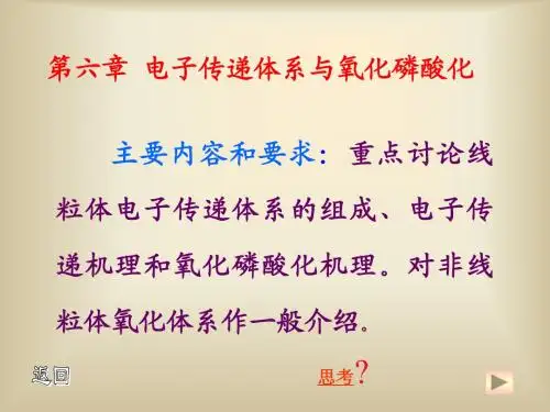 基础生物化学第6章