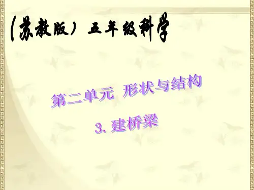 苏教版五年级科学《桥的承重力》