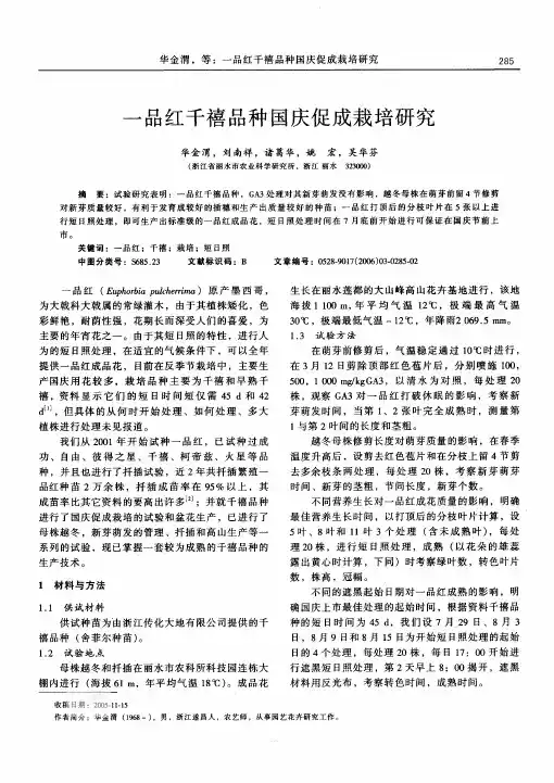 一 品红千禧 品种 国庆促成栽培研究