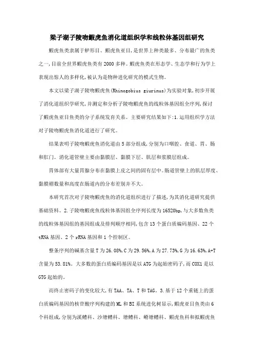 梁子湖子陵吻鰕虎鱼消化道组织学和线粒体基因组研究