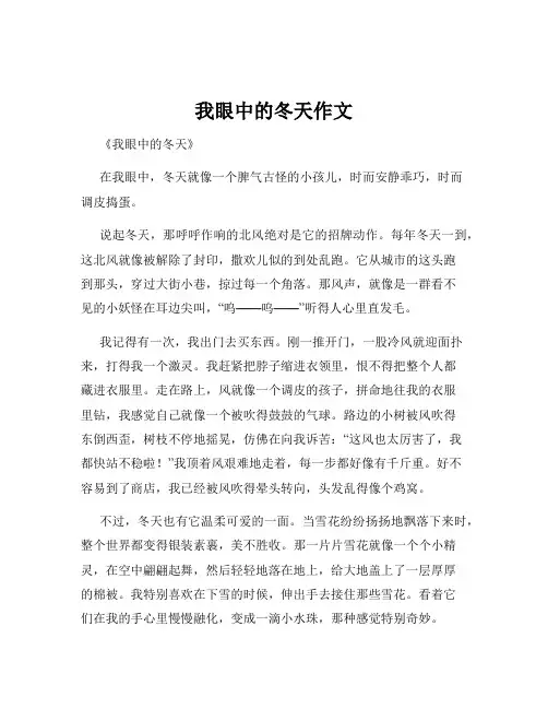 我眼中的冬天作文