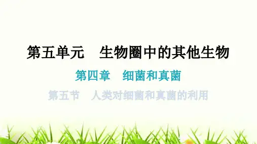 人教版八年级生物上册第五单元第四章第五节人类对细菌和真菌的利用教学课件