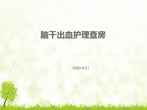 脑干出血护理查房