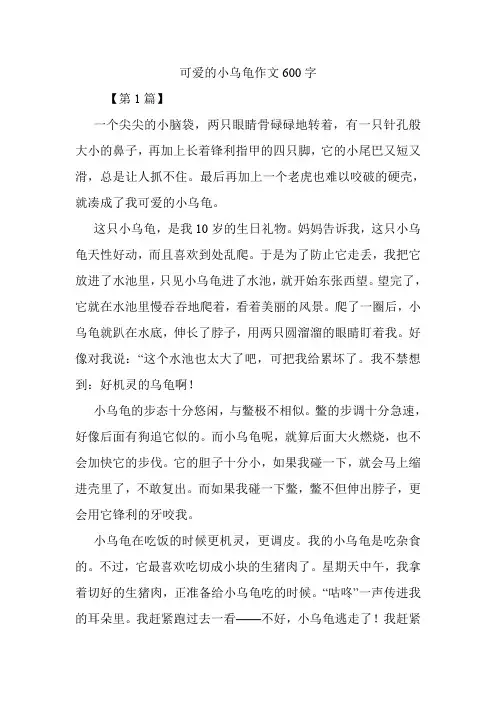 可爱的小乌龟作文600字.doc