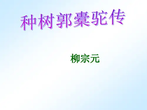 《种树郭橐驼传》原文及译文