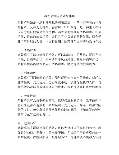 鸡骨草煲汤功效与作用