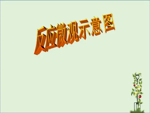 中考化学专题复习--反应微观示意图