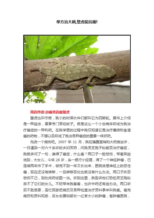 单方治大病,壁虎能抗癌!
