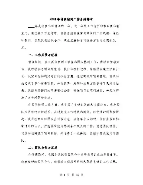 2024年借调期间工作总结样本(五篇)