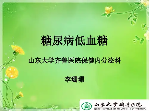 糖尿病低血糖PPT课件