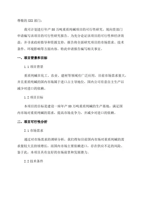 年产80万吨重质纯碱项目可行性研究报告申请报告