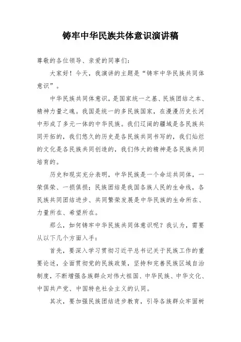 铸牢中华民族共体意识演讲稿