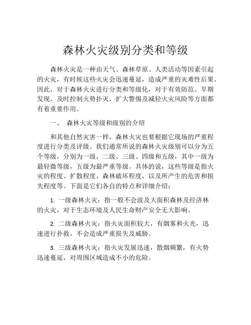 森林火灾级别分类和等级
