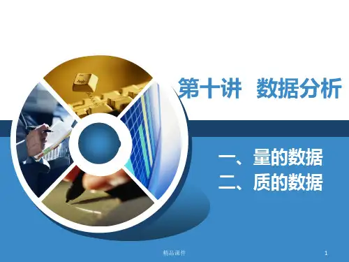 质性数据分析PPT课件