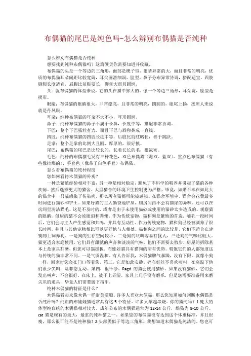 布偶猫的尾巴是纯色吗-怎么辨别布偶猫是否纯种