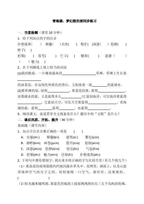 《青海湖_梦幻般的湖》练习题及答案