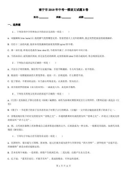 南宁市2019年中考一模语文试题B卷