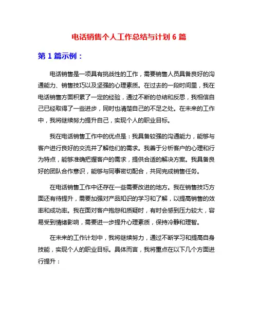 电话销售个人工作总结与计划6篇