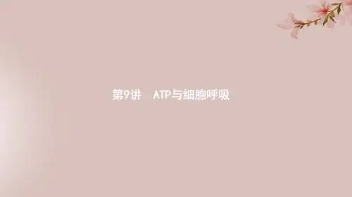 2020版高考生物第3单元细胞的能量供应和利用9ATP与细胞呼吸课件新人教版