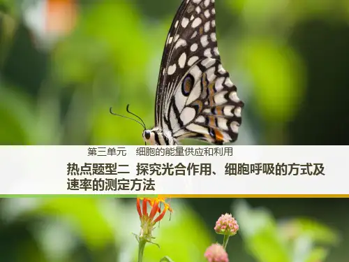 [优选]高考生物必修人教版光合呼吸实验课件