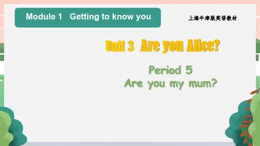 二年级英语上册(沪教牛津版)《Module 1 Unit3  Are you Alice(5)》
