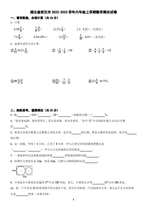 湖北省武汉市2022-2023学年六年级上学期数学期末试卷(含答案)