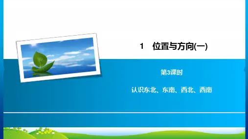 人教新课标三年级下册数学习题课件1位置与方向(一)第3课时 认识东北、东南、西北、西南