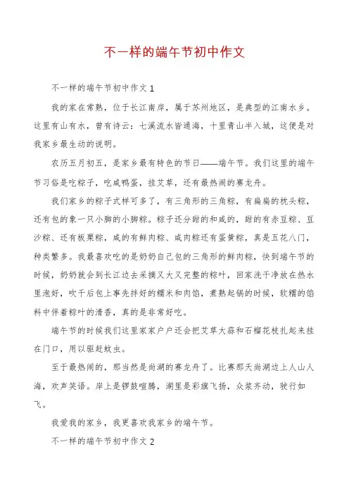 不一样的端午节初中作文