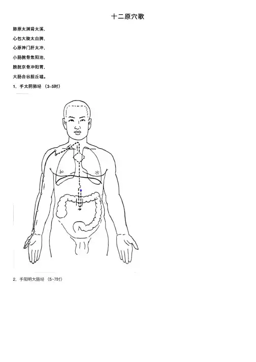 十二原穴歌——精选推荐