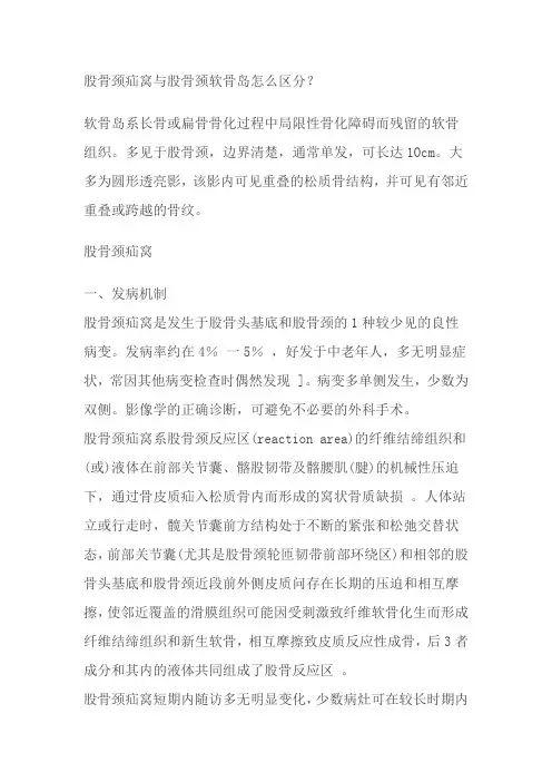 股骨颈疝窝、软骨岛