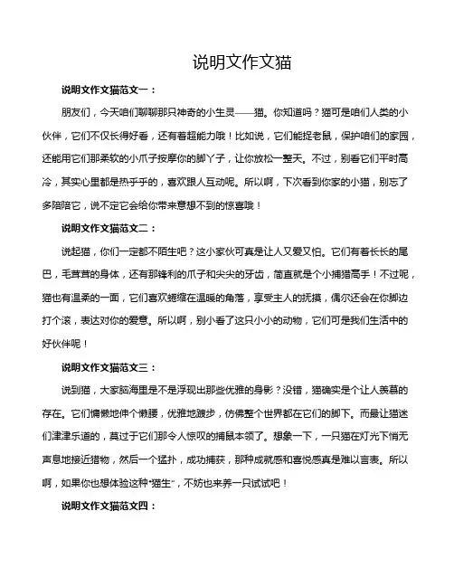 说明文作文猫