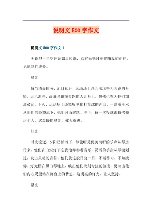 说明文500字作文