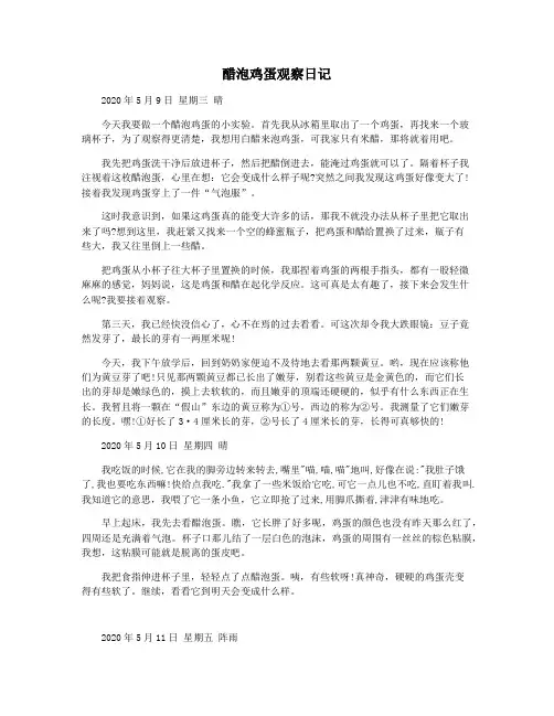醋泡鸡蛋观察日记