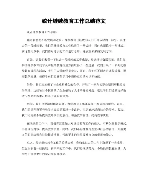 统计继续教育工作总结范文