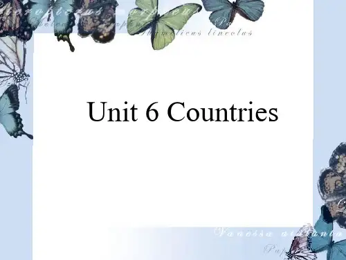 人教版新起点四年级下英语Unit 6 Countries课件