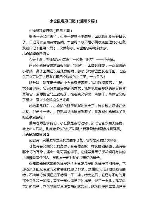 小仓鼠观察日记（通用5篇）
