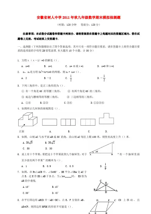 安徽省树人中学2011年秋九年级数学期末模拟检测题