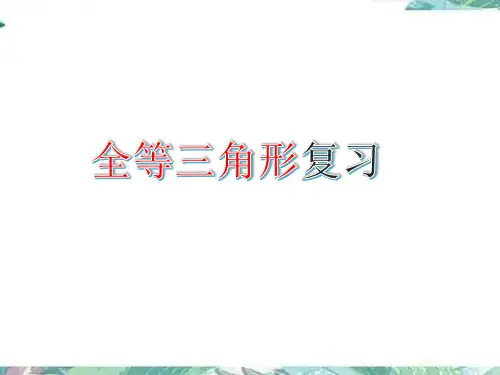 人教版八年级数学上册第十二章全等三角形复习课(共25张PPT)