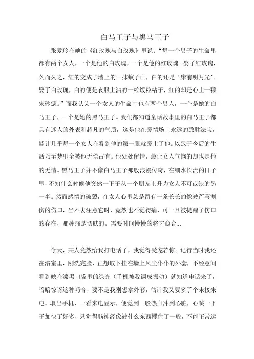 白马王子与黑马王子