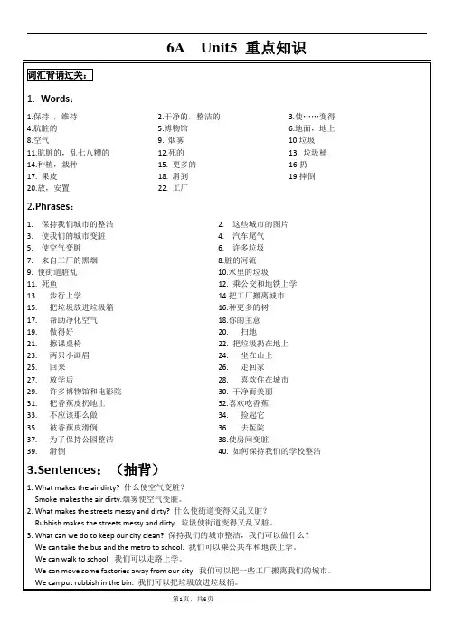 2023-2024译林版(三起)英语六年级上册Unit6单元巩固与复习(讲义)