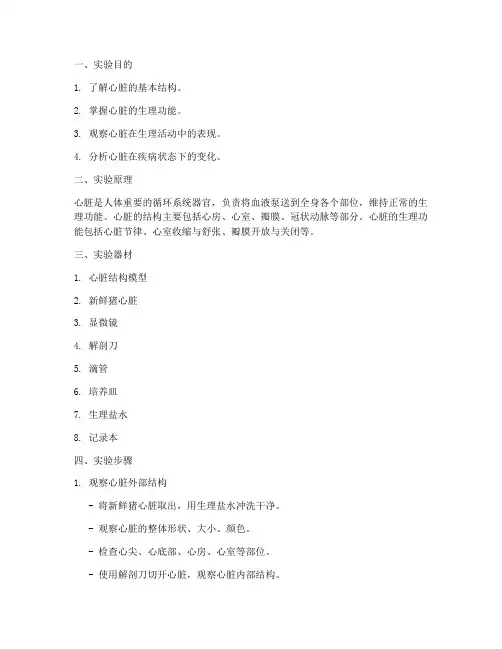 心脏观察实验报告